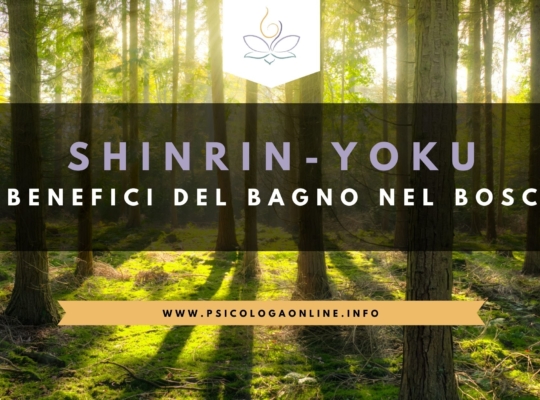 shinrin-yoku